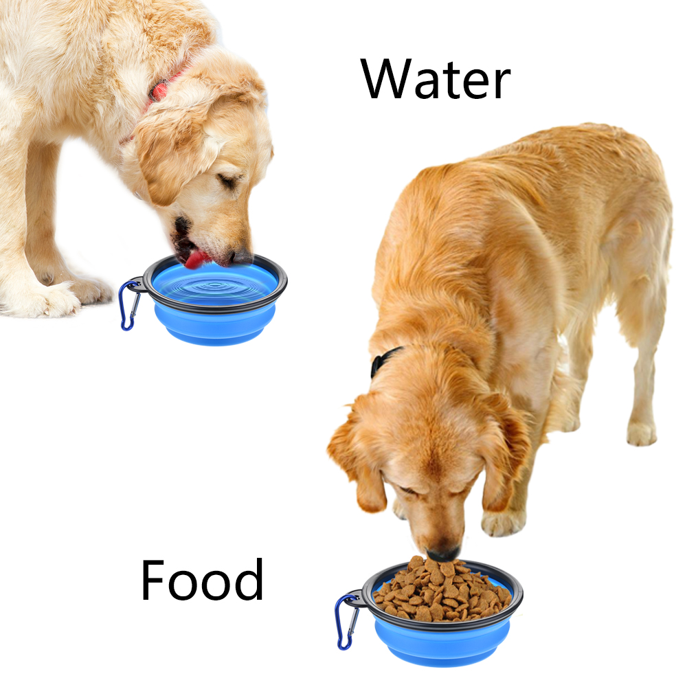 Zusammenklappbare Silikon-Hund – Camping Cooking And Eating Bewertung und Preis