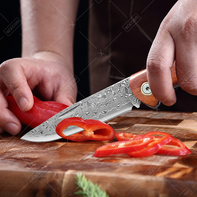 WXCOO Klappmesser Taschenmesse – Camping Cooking Knife Bewertung und Preis